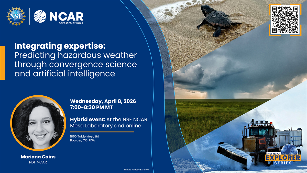 A turtle, a storm and a snowplow showing various uses of AI in ESS